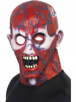 Maska na obličej - Anatomie muže